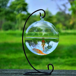 Planet Gates Black-02 Round/Rectangle Shape Hanging Glass Aquarium Fish Tank Fish Bowl Transparent Vase Ornament With Rack Holder Home Decoration