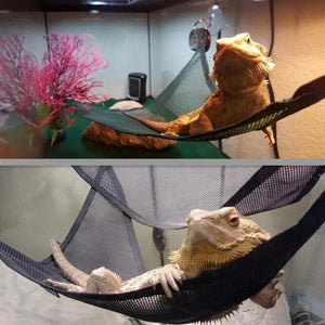 Planet Gates Black / 1pcs Reptile Hammock Lounger Ladder Accessories Set for Large Small Bearded Dragons Anole Geckos Lizards or Snakes Reptile Accessorie