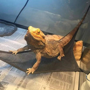 Planet Gates Black / 1pcs Reptile Hammock Lounger Ladder Accessories Set for Large Small Bearded Dragons Anole Geckos Lizards or Snakes Reptile Accessorie