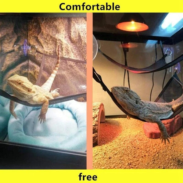 Planet Gates Black / 1pcs Reptile Hammock Lounger Ladder Accessories Set for Large Small Bearded Dragons Anole Geckos Lizards or Snakes Reptile Accessorie