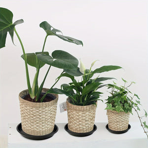 Planet Gates Black / 25.4cm 4 Packs, 30.48 Cm Plant Saucer, Heavy Duty Plant Saucer 30.48 Cm Round, Plastic Plant Water Tray For Pots, Plant Saucers For Indoors, Bird Bath Bowls (Black)