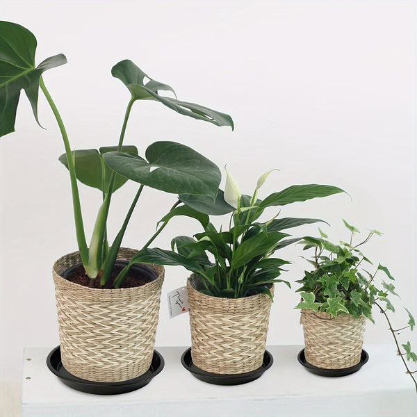 Planet Gates Black / 25.4cm 4 Packs, 30.48 Cm Plant Saucer, Heavy Duty Plant Saucer 30.48 Cm Round, Plastic Plant Water Tray For Pots, Plant Saucers For Indoors, Bird Bath Bowls (Black)