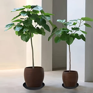 Planet Gates Black / 25.4cm 4 Packs, 30.48 Cm Plant Saucer, Heavy Duty Plant Saucer 30.48 Cm Round, Plastic Plant Water Tray For Pots, Plant Saucers For Indoors, Bird Bath Bowls (Black)