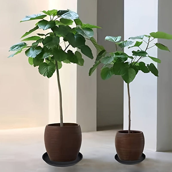 Planet Gates Black / 25.4cm 4 Packs, 30.48 Cm Plant Saucer, Heavy Duty Plant Saucer 30.48 Cm Round, Plastic Plant Water Tray For Pots, Plant Saucers For Indoors, Bird Bath Bowls (Black)