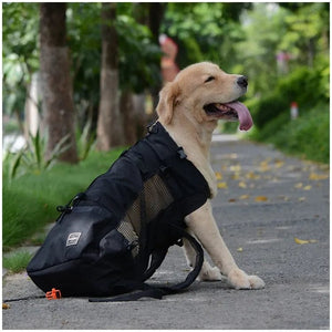 Planet Gates Black / XL(12-15kgs) Hiking Pet Dog Carrier Travel Backpack Outdoor Ventilation Breathable Bicycle Motorcycle Outdoor Sport Mesh Bag Drop Shipping