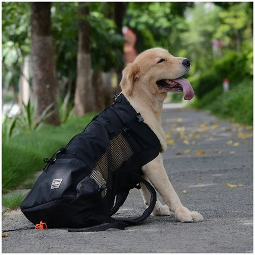 Planet Gates Black / XL(12-15kgs) Hiking Pet Dog Carrier Travel Backpack Outdoor Ventilation Breathable Bicycle Motorcycle Outdoor Sport Mesh Bag Drop Shipping