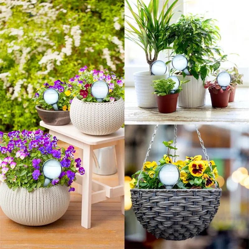 Planet Gates blue-5pcs Plant Water Feeder Automatic Plastical Balls Garden Water Device Plants Watering Bulbs Self Watering Drip Irrigation Devices