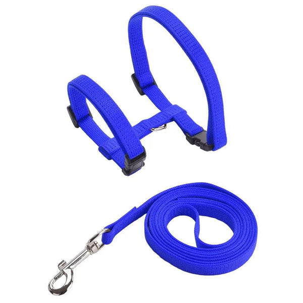 Planet Gates Blue / Weight within 5kg / CN Low Price Rabbit Cat Harness and Leash Set Adjustable Nylon Harnesses for Bunny Kitten Pet Outdoor Walking Supplies Accessories