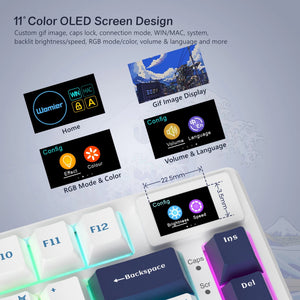 Planet Gates BLUE / White Switch womier SK80 Gasket Mounted Mechanical Keyboard  81 Key Gamer Keyboard 75% Hot Swap RGB Gaming Keyboard with Smart Display for PC