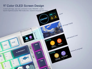 Planet Gates BLUE / White Switch womier SK80 Gasket Mounted Mechanical Keyboard  81 Key Gamer Keyboard 75% Hot Swap RGB Gaming Keyboard with Smart Display for PC