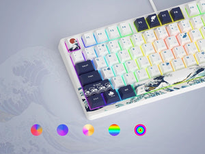 Planet Gates BLUE / White Switch womier SK80 Gasket Mounted Mechanical Keyboard  81 Key Gamer Keyboard 75% Hot Swap RGB Gaming Keyboard with Smart Display for PC