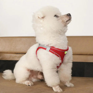 Planet Gates Body Shape Fitting Pet Vest Breathable Mesh Reflective Pet Vest Harness with Leash Adjustable Buckle for Small Dog Puppy for Pet