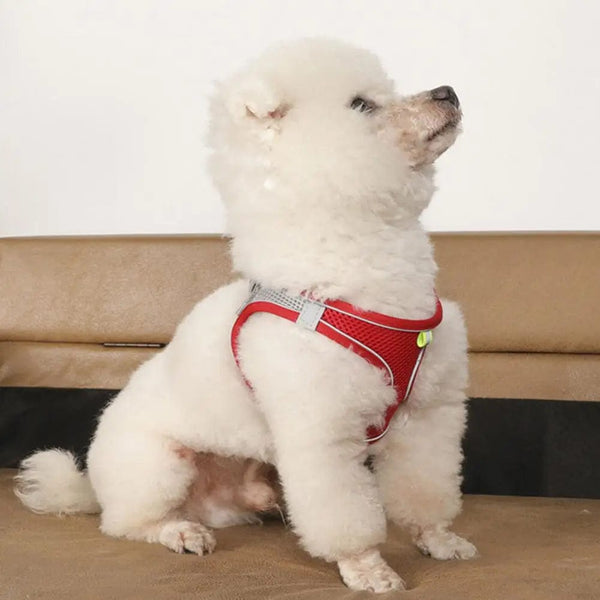 Planet Gates Body Shape Fitting Pet Vest Breathable Mesh Reflective Pet Vest Harness with Leash Adjustable Buckle for Small Dog Puppy for Pet