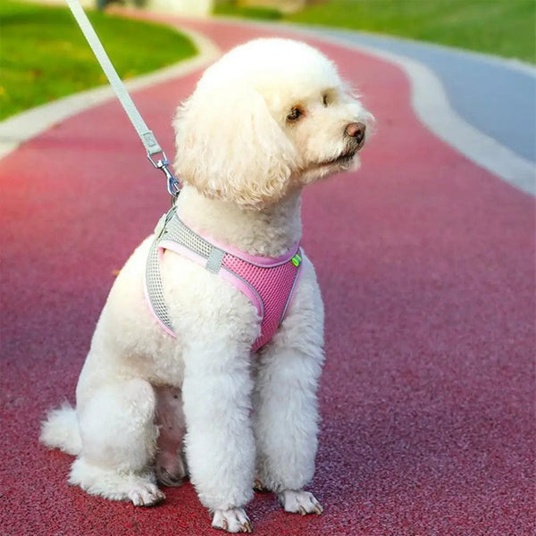 Planet Gates Body Shape Fitting Pet Vest Breathable Mesh Reflective Pet Vest Harness with Leash Adjustable Buckle for Small Dog Puppy for Pet