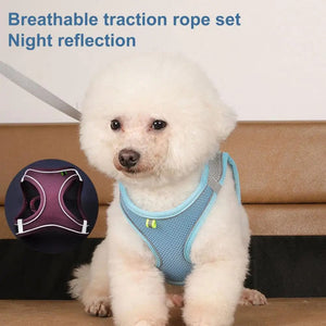 Planet Gates Body Shape Fitting Pet Vest Breathable Mesh Reflective Pet Vest Harness with Leash Adjustable Buckle for Small Dog Puppy for Pet