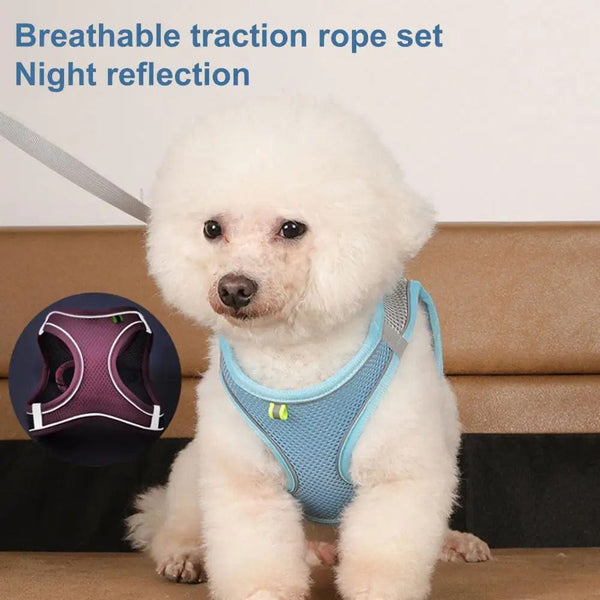 Planet Gates Body Shape Fitting Pet Vest Breathable Mesh Reflective Pet Vest Harness with Leash Adjustable Buckle for Small Dog Puppy for Pet