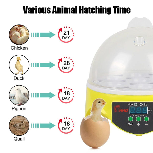 Planet Gates Brooder for Chicken Duck Bird Pigeon Poultry Incubator Adjustable Digital Temperature Mini Egg Incubator Automatic 7 Egg