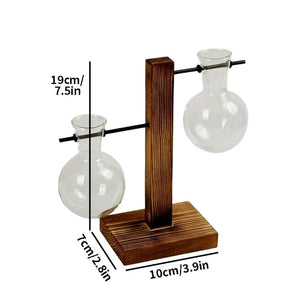 Planet Gates C Transparent Bulb Vase with Wooden Stand Desktop Glass Planter for Hydroponics Plants Coffee Shop Room Decor