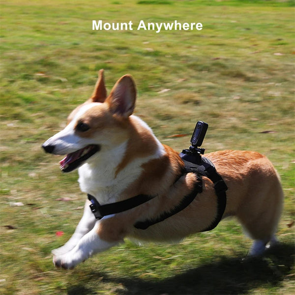 Planet Gates C100 Black / Standard SJCAM C100 Plus Action Camera 4K 30M Waterproof 2.4G WiFi Action Sport action cam EIS bicycle helmet motorcycles