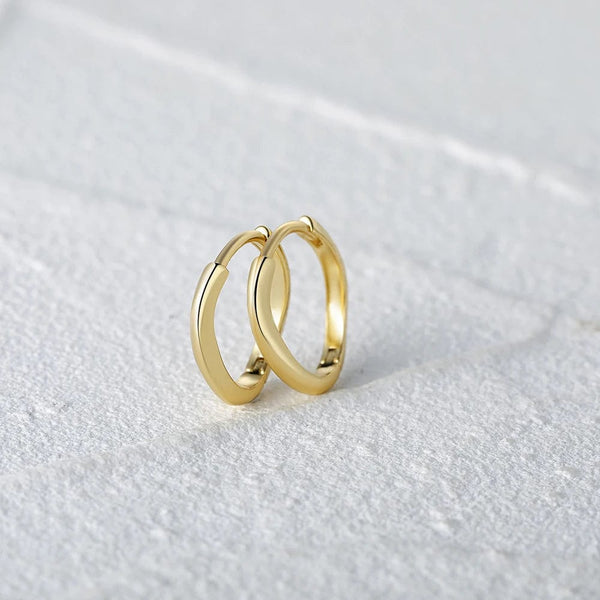 Planet Gates CANNER 925 Sterling Silver Glossy Hoop Earrings Gold Color Tiny Cartilage Piercing Small Huggie Earring Fine Jewelry Accessories