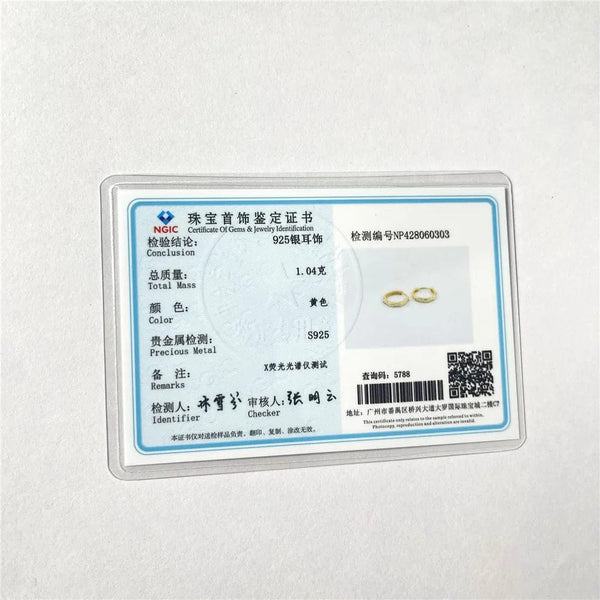 Planet Gates CANNER 925 Sterling Silver Glossy Hoop Earrings Gold Color Tiny Cartilage Piercing Small Huggie Earring Fine Jewelry Accessories