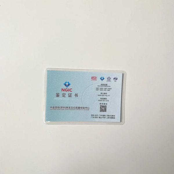 Planet Gates CANNER Real S925 Sterling Silver Mini Zircon Flower Pendant Bracelet Chain for Women's Fine Jewelry Gifts Gold Bracelets Bangles