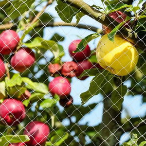 Planet Gates Cat Safety Net Nylon Protective Transparent Mesh Net For Balcony And Window For Baby Kid Falling Net Fence