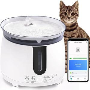 Planet Gates Cat Water Fountain / CHINA AQHH Cat Water Fountain with Wireless Pump Pet Water Fountain for Cats Inside Automatic Smart Fountain App Control Easy Cleaning