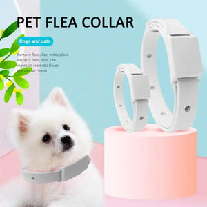 Planet Gates Cats Flea Collar Adjustable Collar Dogs Pet