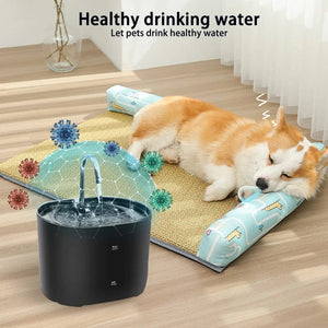 Planet Gates Cats Water Fountain Automatic Filter Cats Fountain With Stainless Steel Faucet Silent Water Pump Pet Cats Dog Water Dispenser