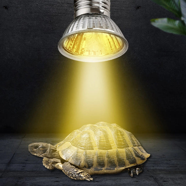 Planet Gates CE Reptile Lamp  UVA+UVB 3.0 Pet Heat Lamp Bulb Turtle Basking  Light Bulbs Amphibians Lizards Temperature Controlle
