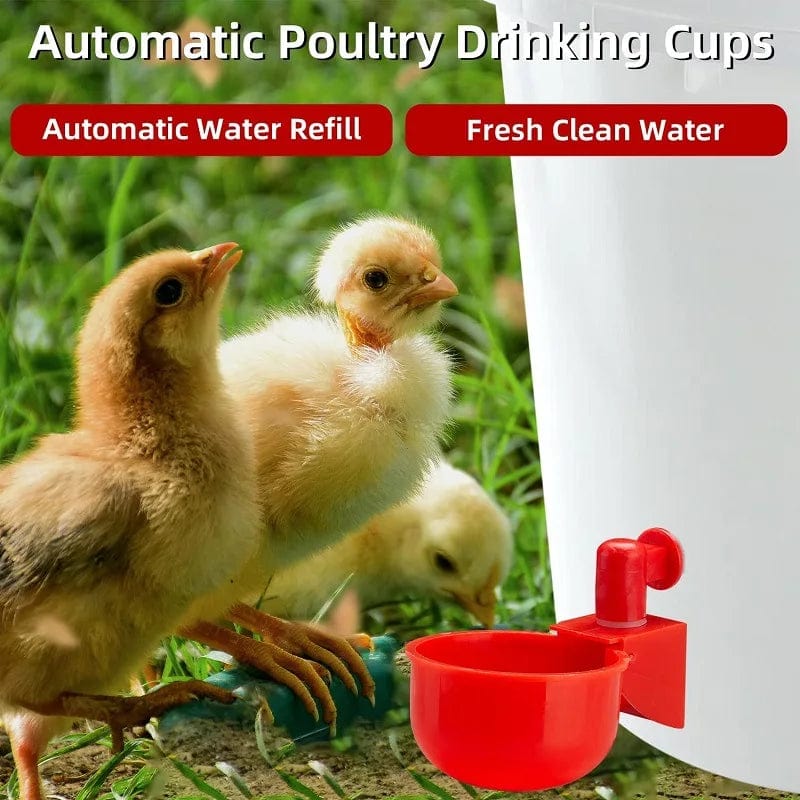 Planet Gates Chicken Drinking Cup Automatic Drinker Chicken Feeder Plastic Poultry Waterer Drinking Water Feeder for Chicks Duck Goose Quail