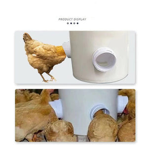 Planet Gates Chicken Feeder Poultry Feeding Supplies DIY Rain Proof Poultry Feeder Port Gravity Feed Kit For Buckets Barrels Bins Troughs