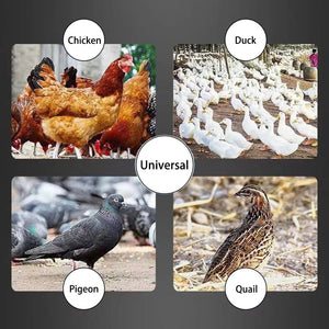 Planet Gates Chicken Feeder Poultry Feeding Supplies DIY Rain Proof Poultry Feeder Port Gravity Feed Kit For Buckets Barrels Bins Troughs