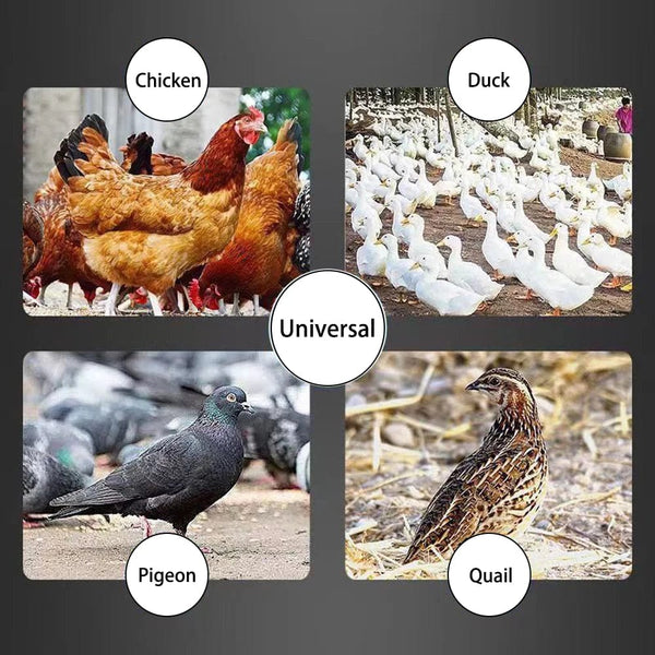 Planet Gates Chicken Feeder Poultry Feeding Supplies DIY Rain Proof Poultry Feeder Port Gravity Feed Kit For Buckets Barrels Bins Troughs