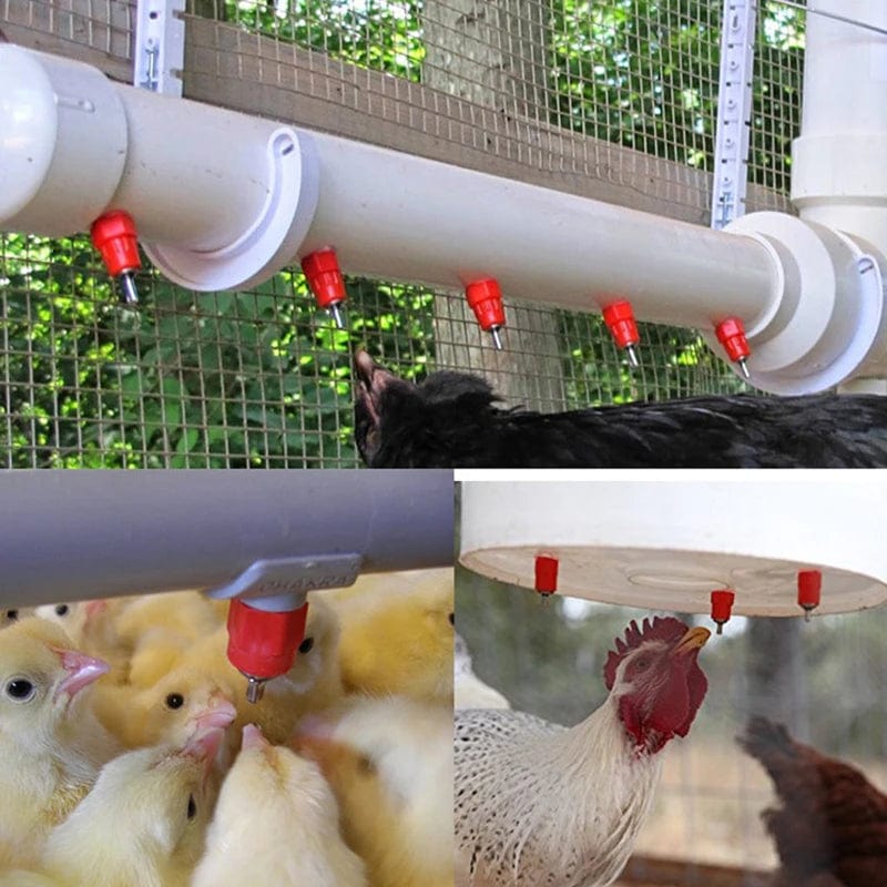 Planet Gates Chicken Waterer Nipple Drinkers Quail Pigeon Bird Waterer Nipples Automatic Waters Spring Type Poultry Farming Equipment