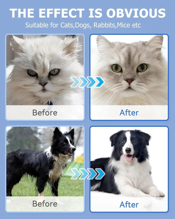 Planet Gates Cleaning Wipes Gloves for Dog and Cat,Pet Bathing Wipes Cleaning & Deodorizing,Dog Wipes for Body Paws Butt Daily Care,Cat Groom