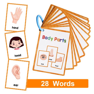 Planet Gates Clothes 15Pcs Montessori Kids English Words Learning Flashcards Early Educational Cards Classroom Supplies Kindergarten Teacher Teaching Aids