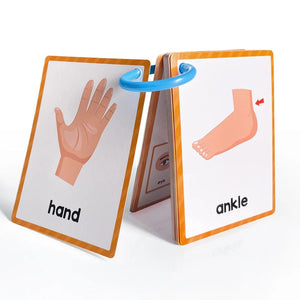 Planet Gates Clothes 15Pcs Montessori Kids English Words Learning Flashcards Early Educational Cards Classroom Supplies Kindergarten Teacher Teaching Aids