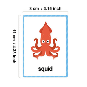 Planet Gates Clothes 15Pcs Montessori Kids English Words Learning Flashcards Early Educational Cards Classroom Supplies Kindergarten Teacher Teaching Aids