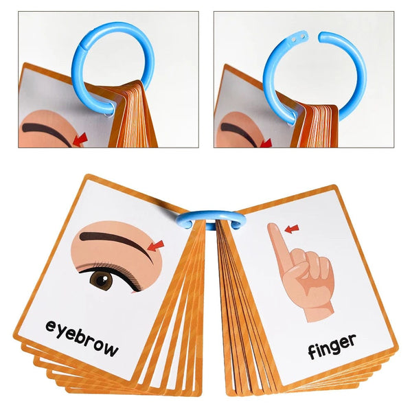 Planet Gates Clothes 15Pcs Montessori Kids English Words Learning Flashcards Early Educational Cards Classroom Supplies Kindergarten Teacher Teaching Aids