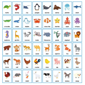 Planet Gates Clothes 15Pcs Montessori Kids English Words Learning Flashcards Early Educational Cards Classroom Supplies Kindergarten Teacher Teaching Aids