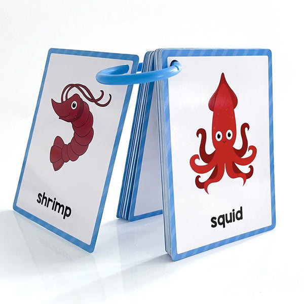 Planet Gates Clothes 15Pcs Montessori Kids English Words Learning Flashcards Early Educational Cards Classroom Supplies Kindergarten Teacher Teaching Aids