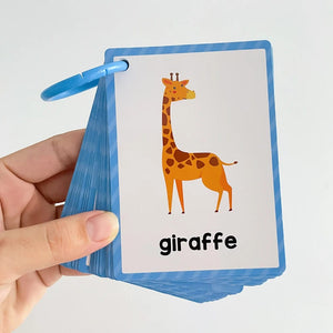 Planet Gates Clothes 15Pcs Montessori Kids English Words Learning Flashcards Early Educational Cards Classroom Supplies Kindergarten Teacher Teaching Aids