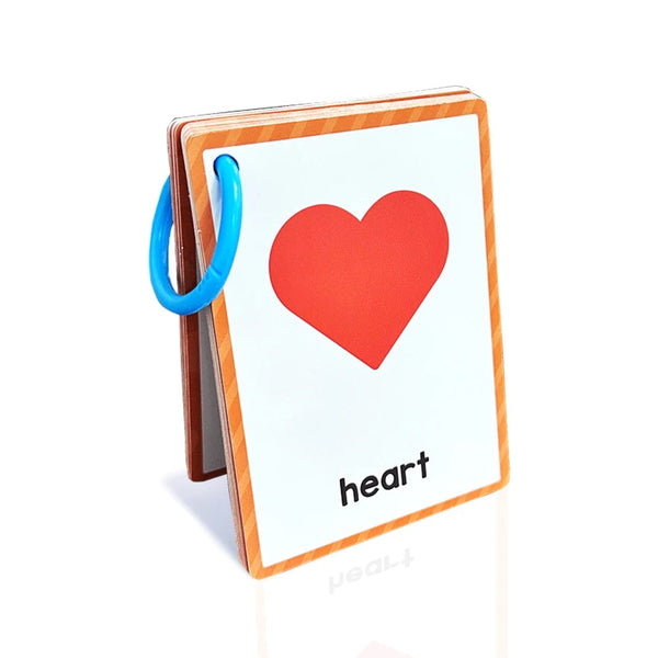 Planet Gates Clothes 15Pcs Montessori Kids English Words Learning Flashcards Early Educational Cards Classroom Supplies Kindergarten Teacher Teaching Aids