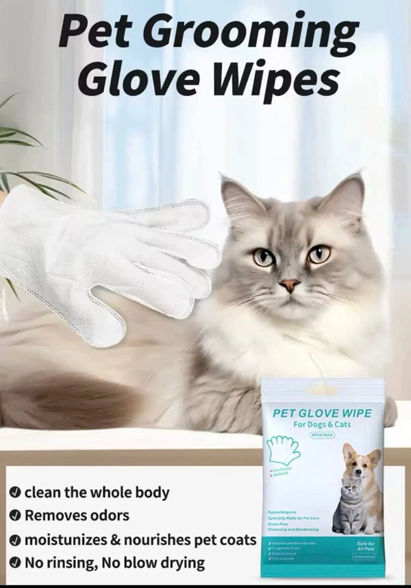 Planet Gates CN 6 PCs napkins disposable gloves wash for animals (cats and dogs) gloves without rinsing washing gloves napkins deodorizing dry napkins wet cleaning