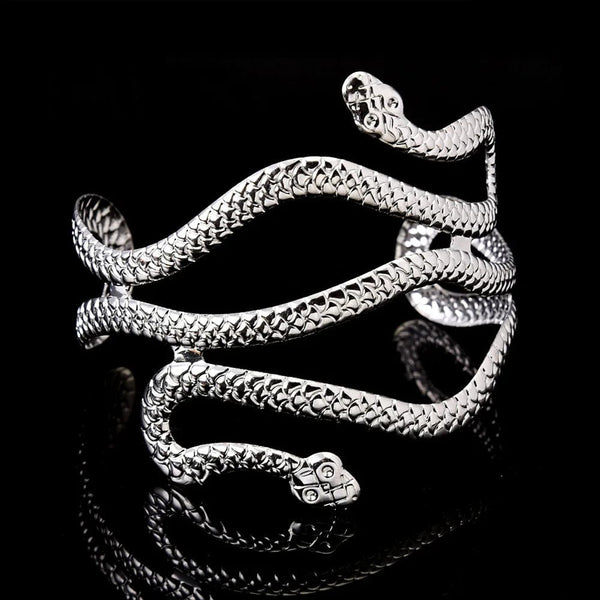 Planet Gates Creative Snake Shape Bracelets Silver Plated Jewelry Personality Snake Arm Cuff Temperament Animal Opening Bangles Jewelry Gifts