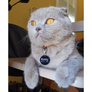 Planet Gates Custom Dog Cat ID Tag Engraved Personalized Pet Collar Charm Name Pendant Bone Keyring Necklace Puppy Accessory Dropshipping