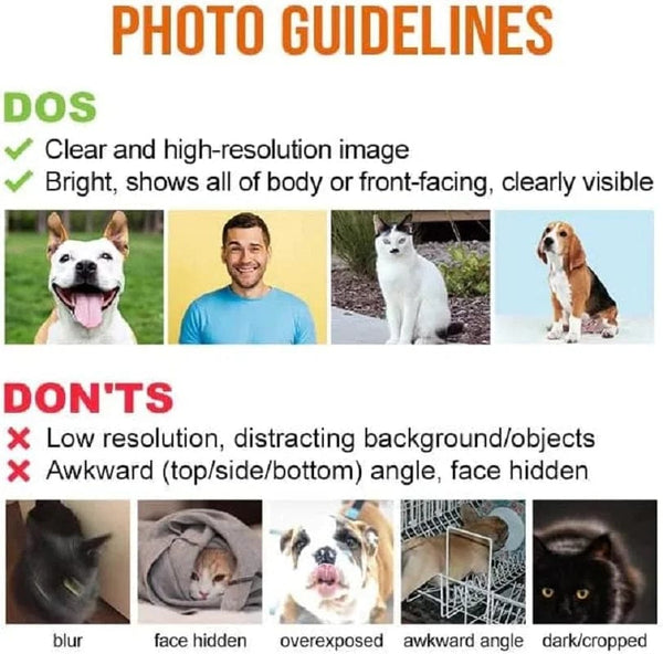 Planet Gates Custom Pet Grave Stones Personalized Pet Memorial Stones Cat and Dog Souvenir Pet Loss Tombstone Add Photo And Text Dropshipping