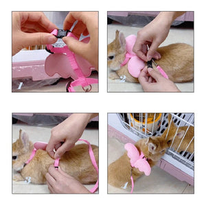 Planet Gates Cute Angel Wing Pet Rabbit Harness and Leash for Cats Rabbits Personalized Rabbit Harnesses Bunny Accessories Hamster Clothes